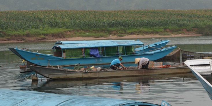  Giáo dân thôn Xuân Tiến, thị trấn Phong Nha, huyện Bố Trạch phát triển nghề nuôi trồng thủy sản trên sông Son. 