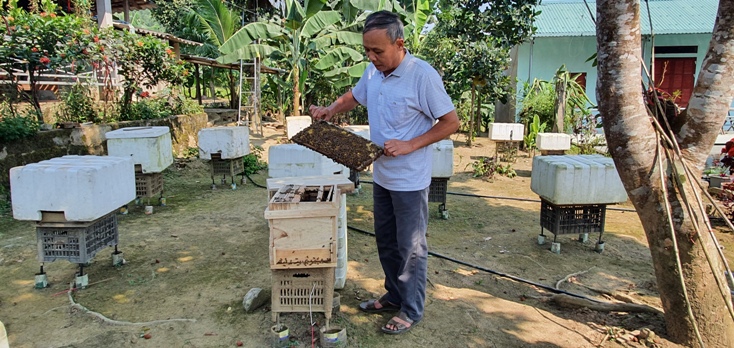   Nuôi ong lấy mật trở thành nghề hấp dẫn, cho thu nhập cao của HTX nuôi ong lấy mật Quyết Thắng.