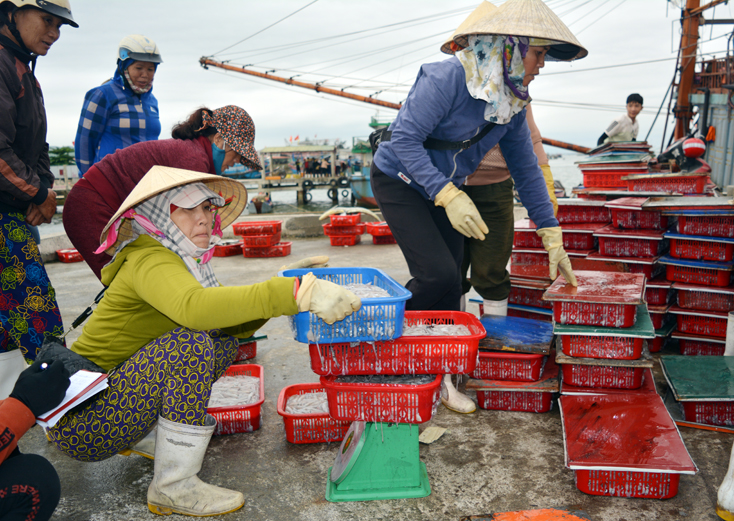 Sản lượng đánh bắt và nuôi trồng thủy, hải sản ở Bố Trạch tăng cao so cùng kỳ