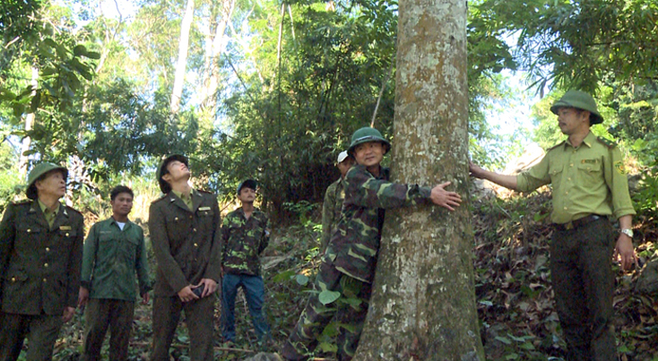 Các lực lượng phối hợp tăng cường bảo vệ rừng