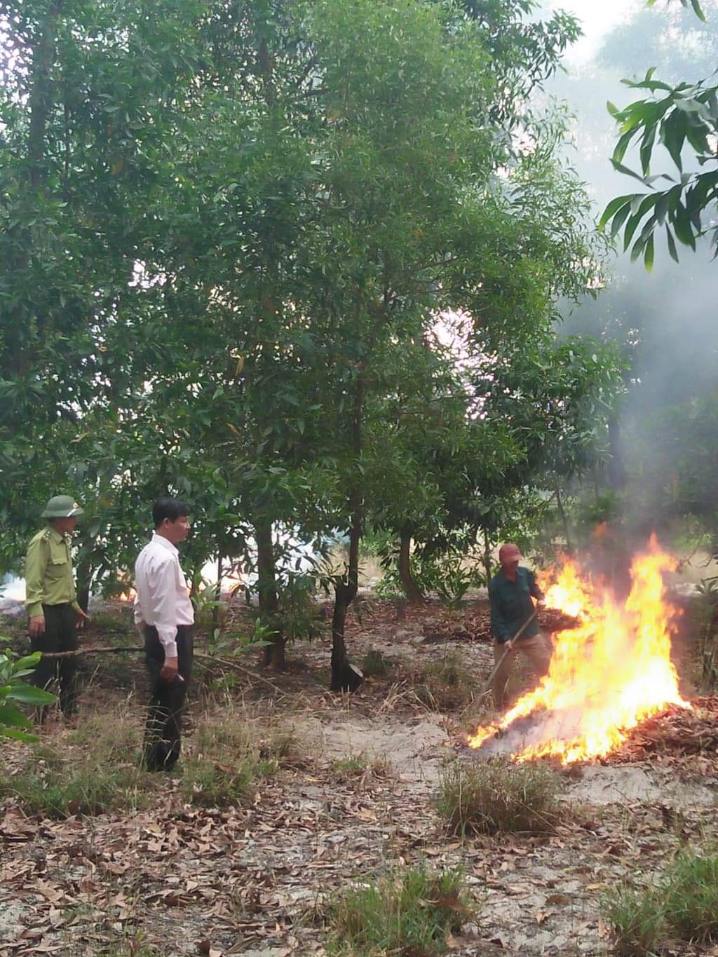 Lực lượng Kiểm lâm tổ chức hướng dẫn cho các chủ rừng và người dân đốt dọn thực bì 