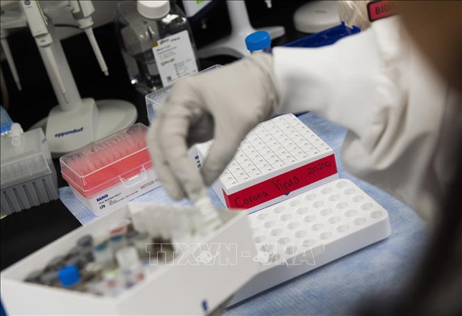  Vaccine phòng COVID-19 được nghiên cứu trong phòng thí nghiệm tại Rockville, Maryland, Mỹ ngày 20-3-2020. Ảnh: AFP/TTXVN