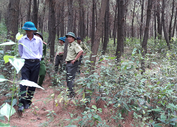 Công tác kiểm tra rừng trước mùa khô được các lực lượng chức năng triển khai trên diện rộng. 