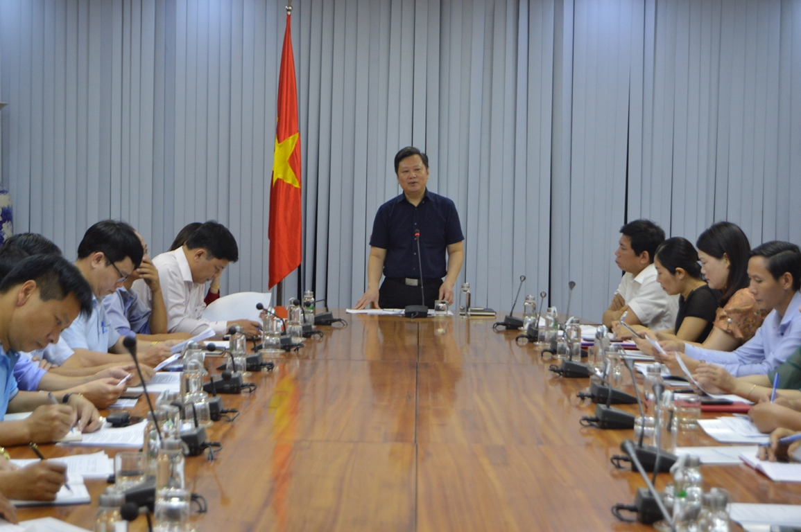 Đồng chí Phó Chủ tịch UBND tỉnh Nguyễn Tiến Hoàng phát biểu kết luận tại buổi làm việc.