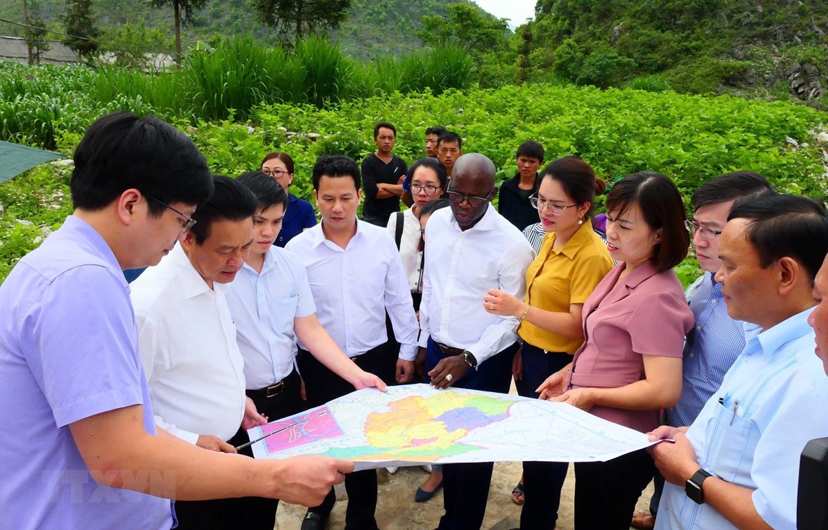 Giám đốc Quốc gia WB tại Việt Nam và lãnh đạo tỉnh Hà Giang khảo sát dự án cải thiện nông nghiệp. (Ảnh: TTXVN phát)