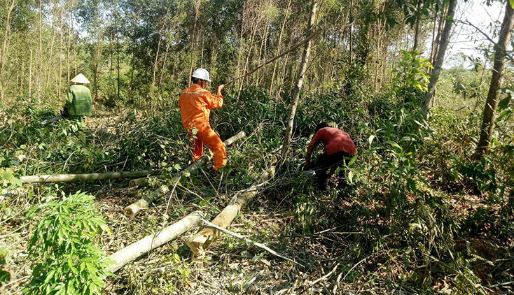 Công nhân Đội quản lý vận hành lưới điện cao thế cùng với người dân chặt tỉa cây trồng có nguy cơ ngã đổ vào đường dây 110kV.