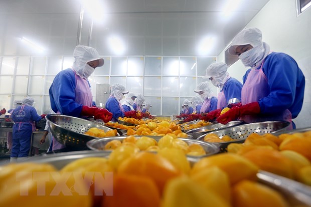  Dây chuyền chế biến trái cây xuất khẩu của Công ty Cổ phần Nafoods miền Nam. (Ảnh: TTXVN)