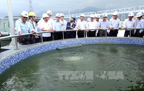  Đoàn công tác Bộ Tài nguyên và môi trường kiểm tra việc khắc phục các lỗi vi phạm về môi trường của công ty TNHH gang thép Hưng Nghiệp Formosa Hà Tĩnh tháng 4-2017. Ảnh: Công Tường/TTXVN.