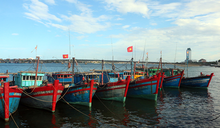 Đội tàu đánh bắt xa bờ của xã Quang Phú. 