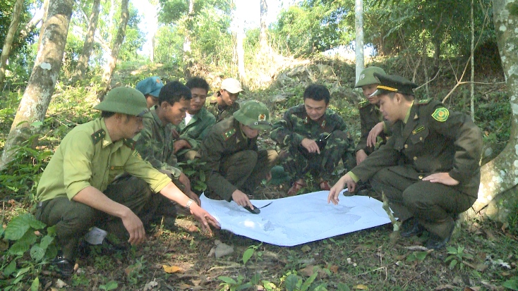 Lực lượng Kiểm lâm Quảng Bình phối hợp với các cơ quan chức năng nỗ lực bảo vệ màu xanh cho những cánh rừng