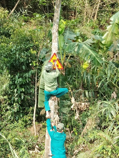  Lực lượng bảo vệ rừng tăng cường việc cắm các biển, bảng cấm lửa ở những địa bàn trọng điểm.