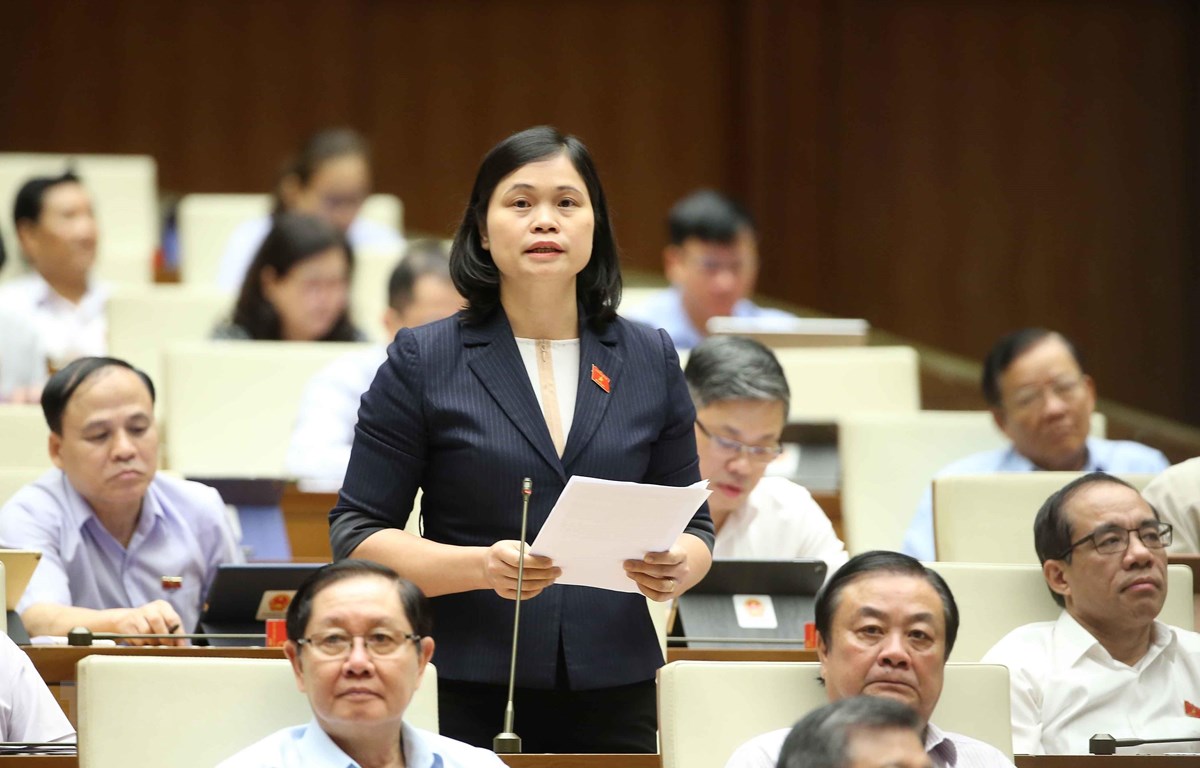 Đại biểu Quốc hội tỉnh Tuyên Quang Ma Thị Thuý phát biểu ý kiến. (Ảnh: Doãn Tấn/TTXVN)
