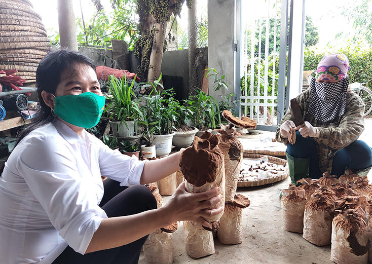 Nhiều chị em phụ nữ Quảng Ninh mạnh dạn phát triển sản xuất, tăng thu nhập, tạo thêm việc làm cho lao động nông thôn. 