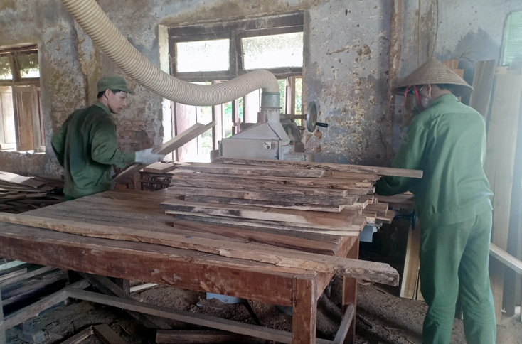 Hoạt động sản xuất, chế biến gỗ ở Công ty TNHH MTV Lâm công nghiệp Long Đại được duy trì trong khó khăn do đại dịch Covid-19.