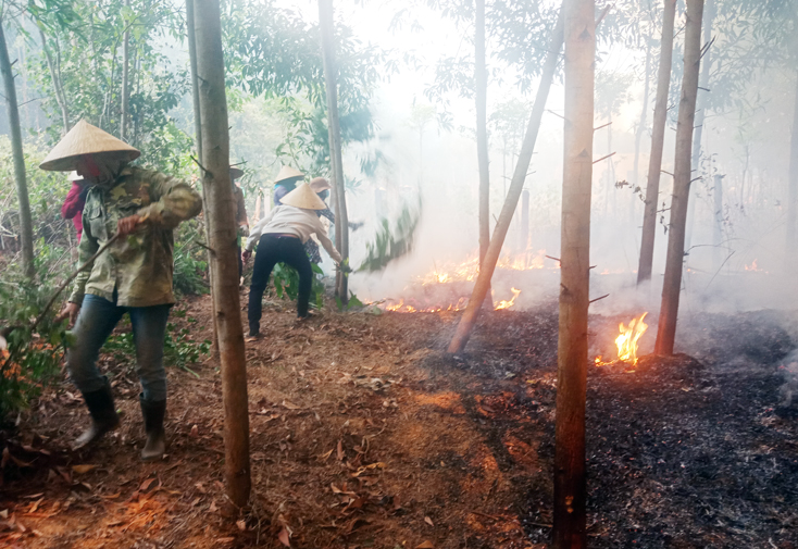 Cháy lớn rừng thông, keo xã Vạn Trạch
