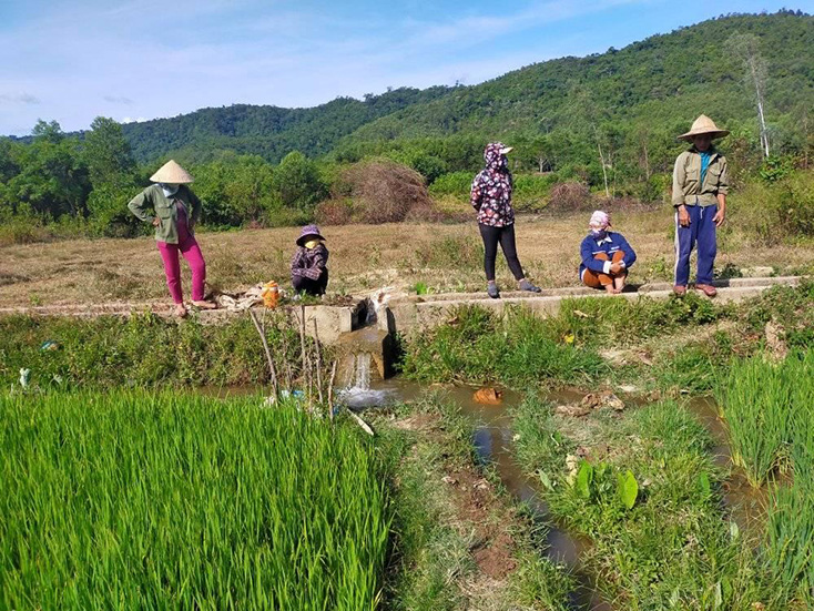 Người dân Minh Hóa áp dụng biện pháp điều tiết nước hợp lý, tưới tiết kiệm để chống hạn hiệu quả.