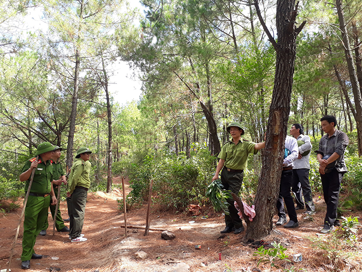 Chi cục Kiểm lâm tỉnh phối hợp Phòng Cảnh sát PCCC–CNCH, Công an tỉnh kiểm tra công tác bảo vệ rừng và PCCCR tại các địa phương. 