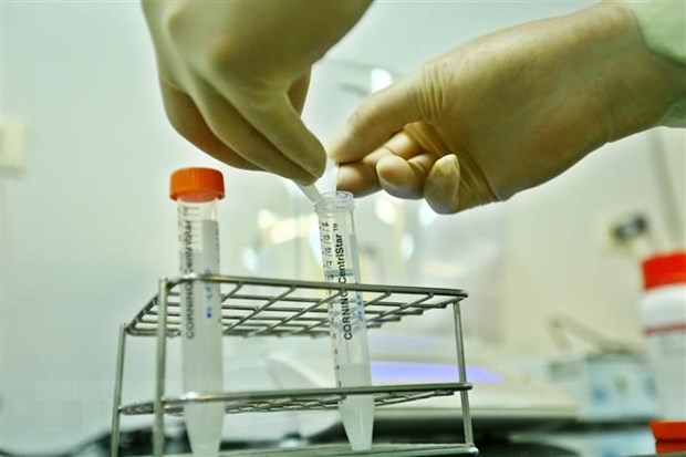 Bán thành phẩm của một loại vắcxin sau quá trình nghiên cứu, điều chế trước khi được tiêm thử trên động vật. (Ảnh: Minh Quyết/TTXVN)