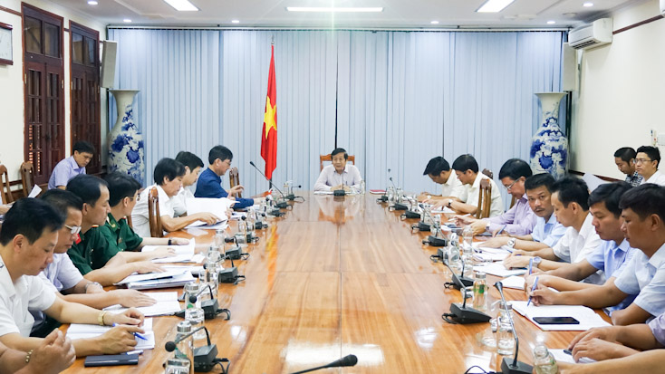 Đồng chí Nguyễn Xuân Quang, Phó Chủ tịch Thường trực UBND tỉnh phát biểu kết luận buổi làm việc. 