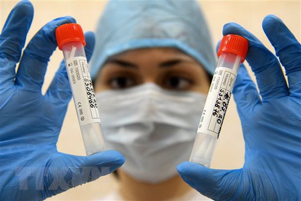 Nhân viên y tế kiểm tra mẫu xét nghiệm COVID-19 tại Moskva, Nga. (Ảnh: AFP/TTXVN)