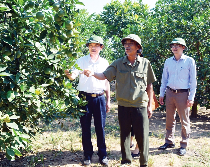    Đồng chí Chủ tịch UBND huyện Bố Trạch Trần Quang Vũ thăm các mô hình phát triển kinh tế vùng gò đồi. 