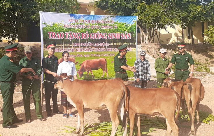 Đại diện Đoàn Kinh tế Quốc phòng đang trao bò giống cho người lao động