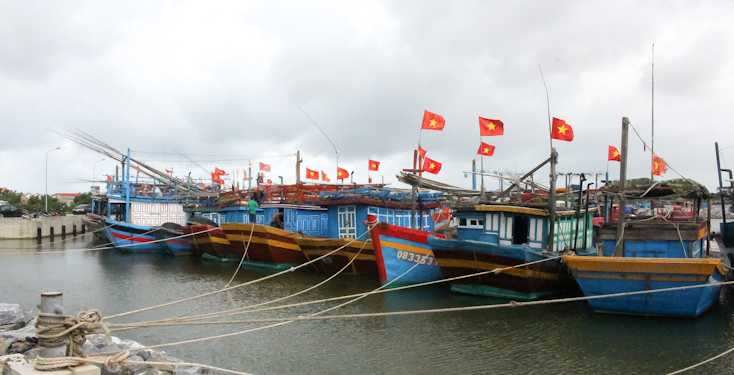 Quảng Bình hiện còn 216 tàu cá chưa được cấp bổ sung hạn ngạch giấy phép khai thác thủy sản vùng khơi. 
