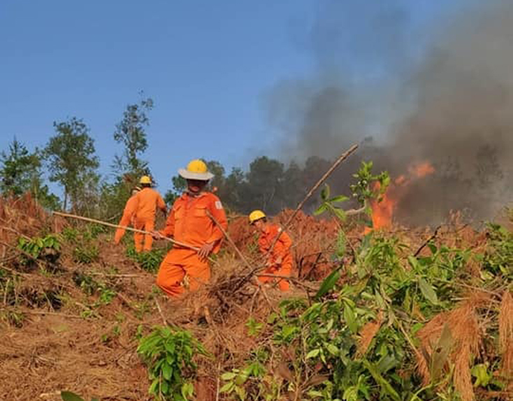 Cán bộ công nhân Điện lực Bố Trạch phối hợp với chính quyền và người dân địa phương tham gia chữa cháy rừng