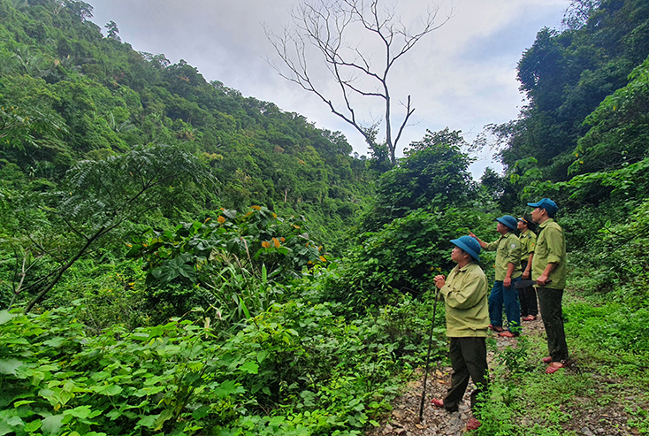Lực lượng chức năng tăng cường bảo vệ tài nguyên rừng ở KDTTN Động Châu-khe Nước Trong. 