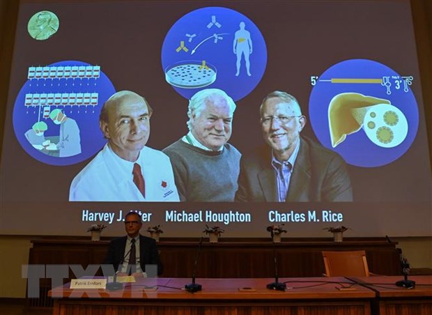 Chân dung các nhà khoa học đoạt giải Nobel Y học 2020 (trên màn hình, từ trái sang) Harvey Alter (Mỹ), Michael Houghton (Anh) và Charles Rice (Mỹ) trong cuộc họp báo công bố về giải thưởng ở Viện Karolinska, thủ đô Stockholm (Thụy Điển). (Ảnh: AFP/TTXVN)