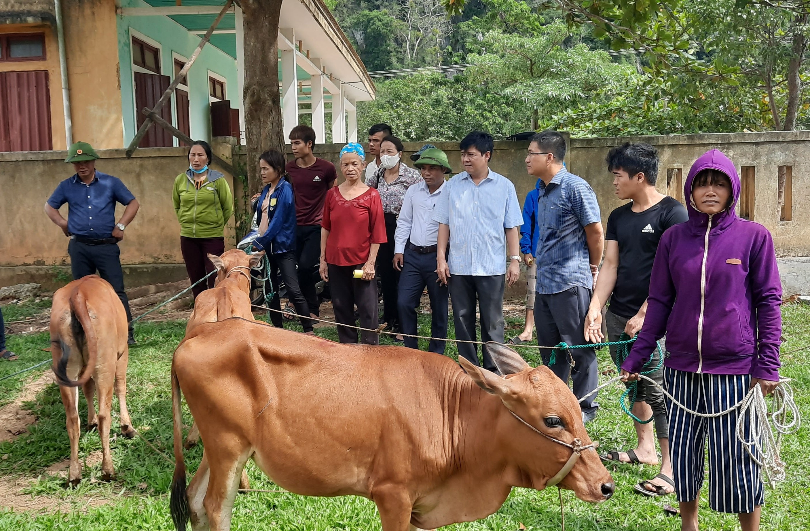 Hội Nông dân tỉnh trao tặng bò cho hộ nghèo ở xã Ngân Thủy (huyện Lệ Thủy).