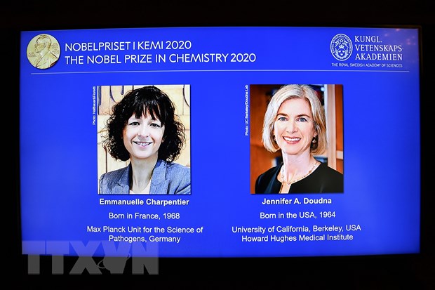 Chân dung hai nhà khoa học nữ Emmanuelle Charpentier (trái, người Pháp) và Jennifer A. Doudna (người Mỹ) đoạt giải Nobel Hóa học 2020 trong cuộc họp báo công bố giải Nobel ở Stockholm, Thụy Điển ngày 7-10-2020. (Ảnh: AFP/TTXVN)