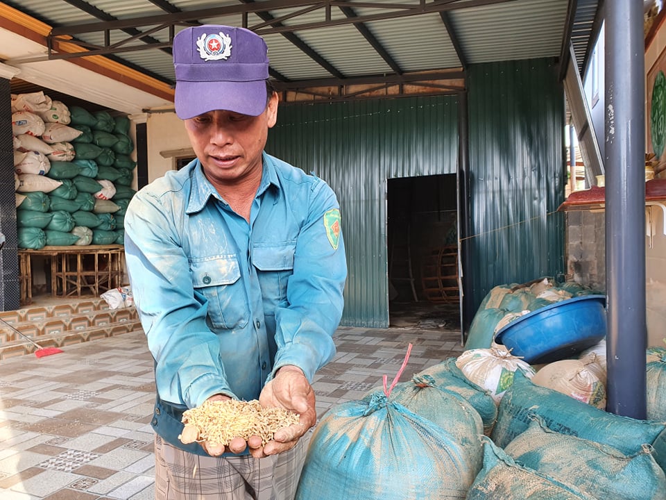 Anh Phạm Viết Cảnh, ở đội 3, thôn Lộc Thượng, xã An Thủy buồn bã bên những bao lúa của mình đang lên mầm