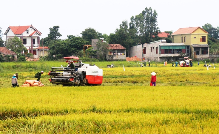 Cơ giới hóa nông nghiệp được ứng dụng rộng rãi, góp phần nâng cao hiệu quả sản xuất ở Quảng Ninh.