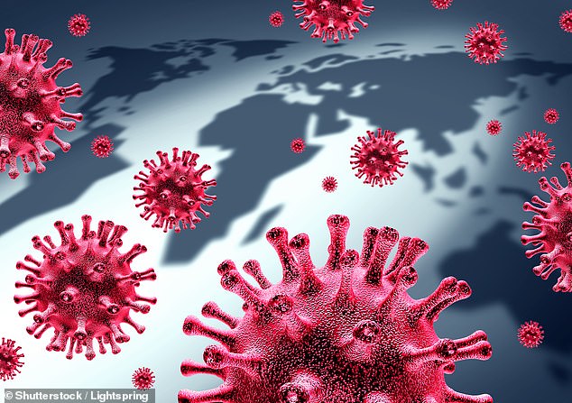  Có rất nhiều loại virus lạ tiềm ẩn nguy cơ lây nhiễm từ động vật sang người. Ảnh: Shutterstock