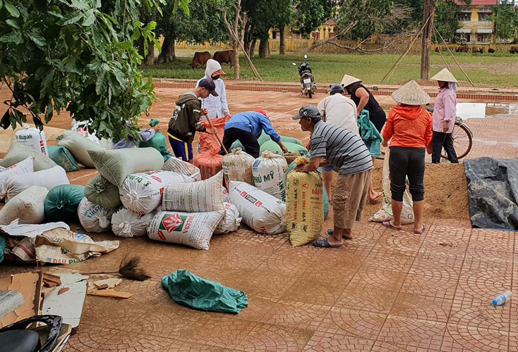 Người dân huyện Lệ Thủy phơi lại lúa sau lũ