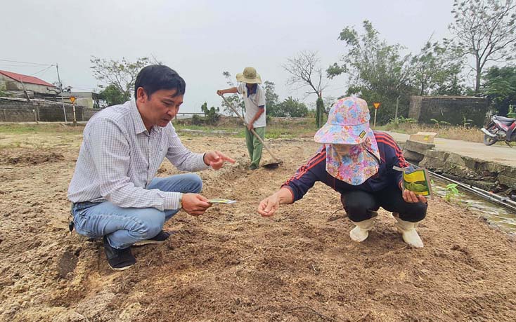 Bà con vùng lũ xã Gia Ninh (huyện Quảng Ninh) đưa hạt giống vào gieo để sớm có thu hoạch.