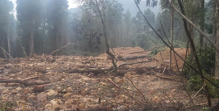 Một diện tích rừng tự nhiên bị sạt lở ở khu vực Thác Voi