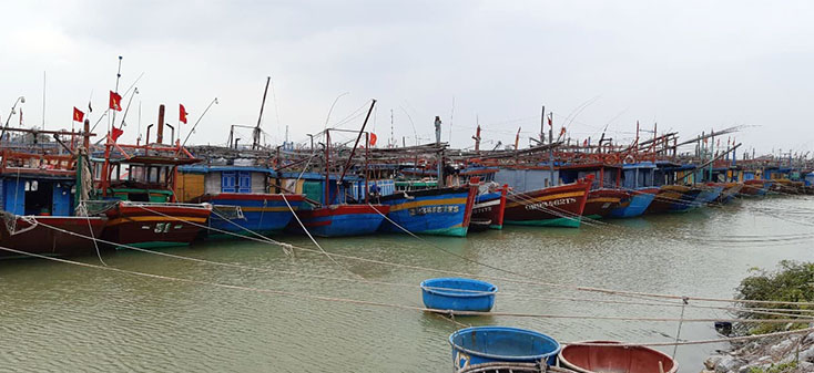 370 tàu thuyền của ngư dân huyện Quảng Trạch đã vào neo đậu an toàn