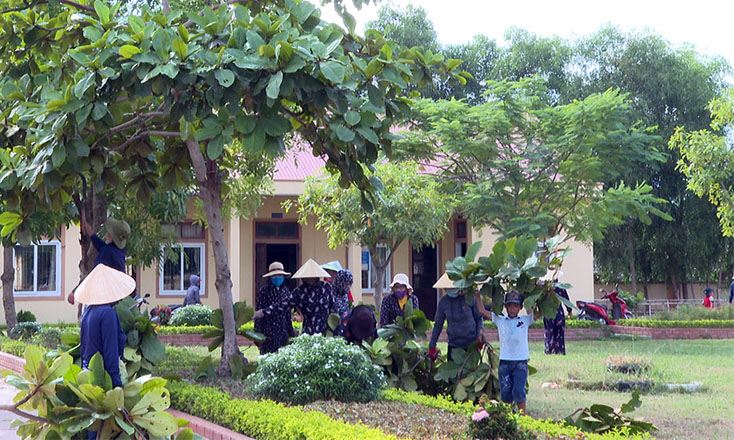 Người dân chặt tỉa những cành cây lớn trong khuôn viên trường học