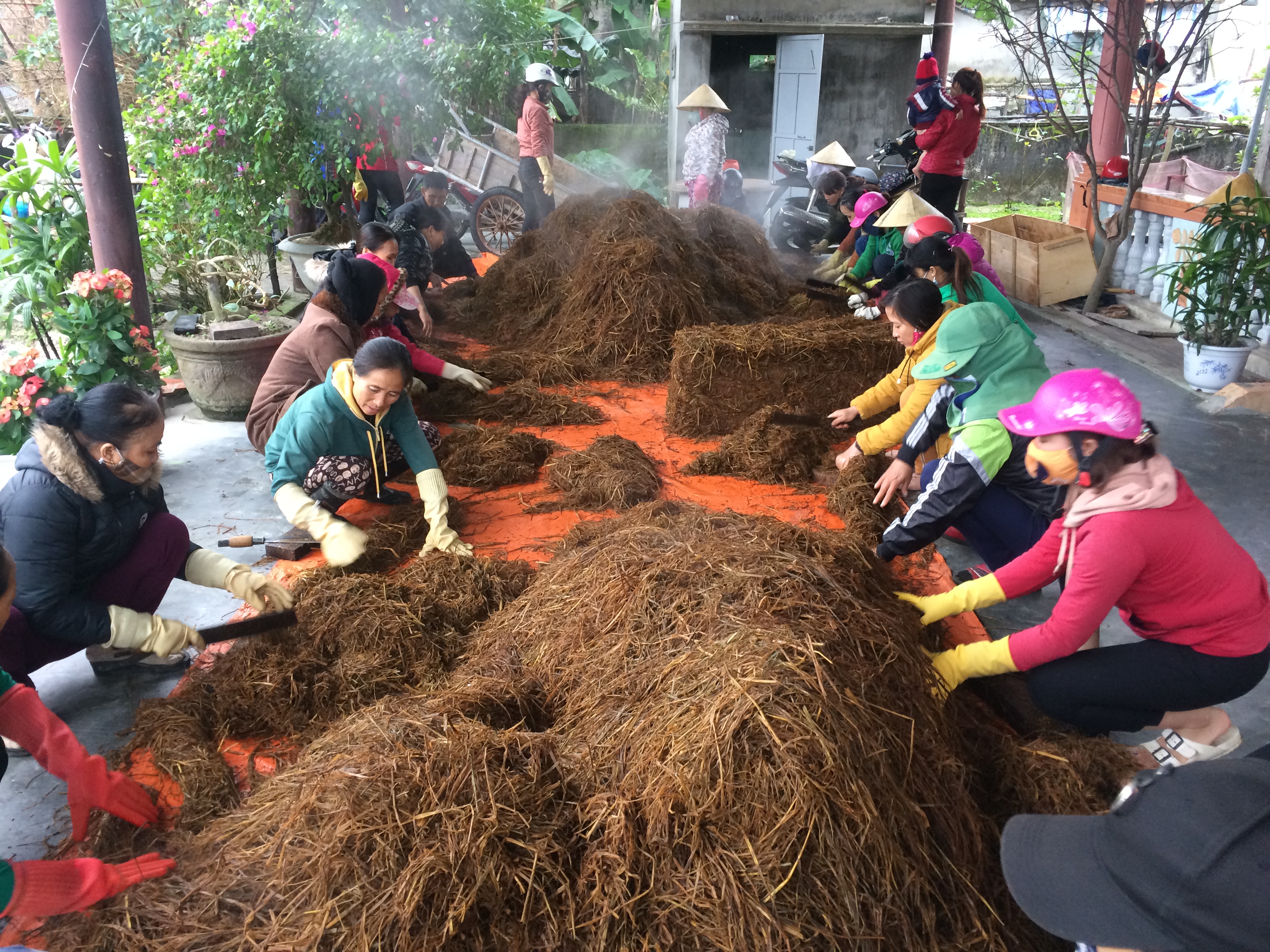    Học viên tham gia thực hành tại lớp đào tạo nghề trồng nấm sò được tổ chức tại phường Quảng Phúc (TX. Ba Đồn). 