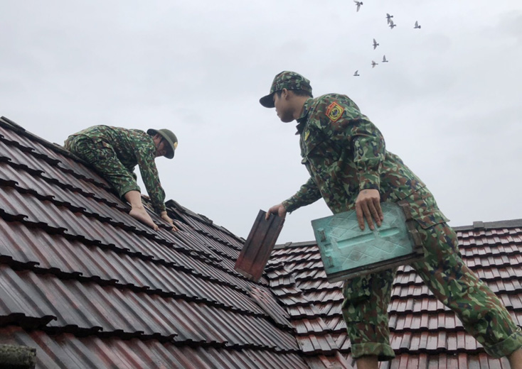 Các lực lượng Biên phòng và Quân sự giúp dân khắc phục hậu quả do bão gây ra.