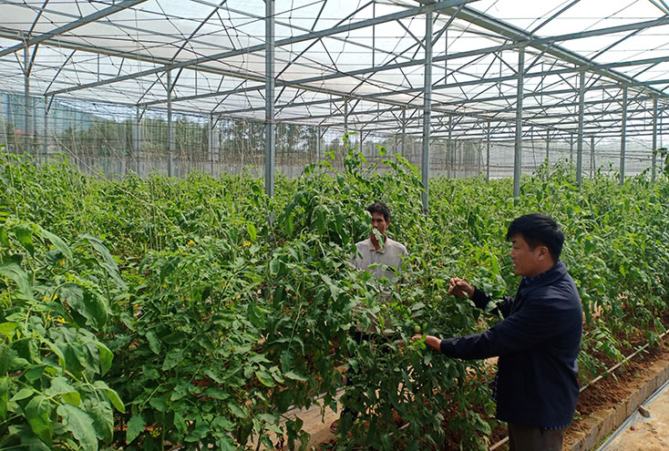 Mô hình nông nghiệp công nghệ cao ở xã Thanh Hóa.