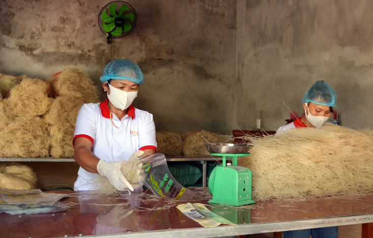 Sản phẩm miến gạo sâm Bố Chính của HTX sinh thái Sông Son (Mỹ Trạch), được huyện Bố Trạch xếp hạng 4 sao.
