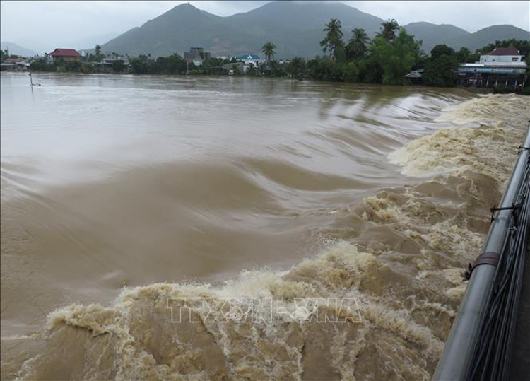  Nước lũ đổ về sông Cái (Khánh Hòa) vào ngày 30-11. Ảnh: Phan Sáu – TTXVN