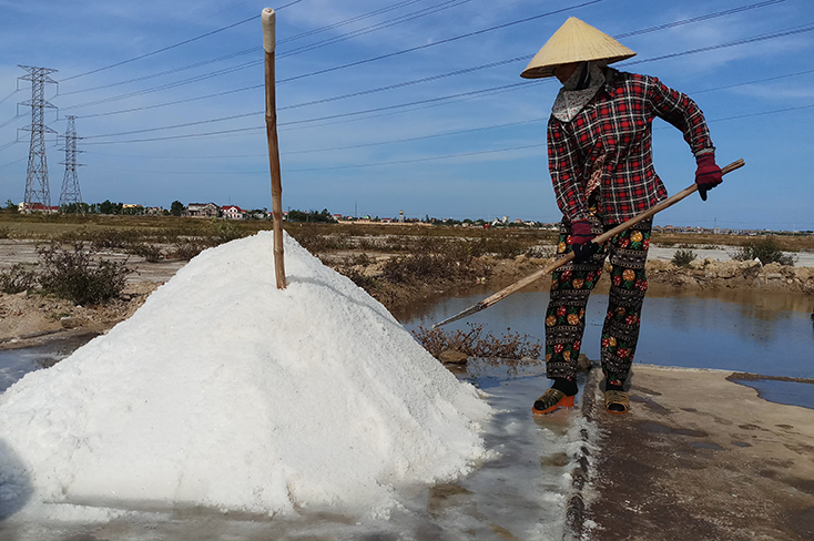 HTX muối Quảng Phú sẽ giúp đầu ra của hạt muối ổn định hơn.