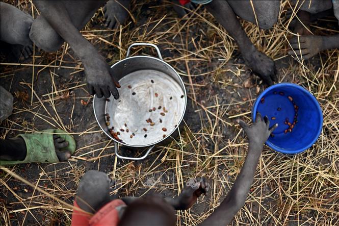 Trẻ em nhặt ngũ cốc rơi từ các bao lương thực viện trợ của Chương trình Lương thực thế giới (WFP) tại Ayod, Nam Sudan. Ảnh: AFP/TTXVN