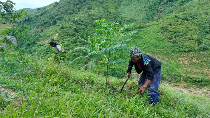 Nhiều hộ dân ở xã Trọng Hóa đầu tư trồng rừng, có thu nhập ổn định, vươn lên trong cuộc sống nên làm đơn xin ra khỏi hộ nghèo. 