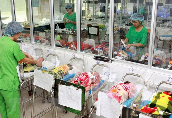 Chăm sóc trẻ sơ sinh tại Bệnh viện Phụ sản Trung ương. Ảnh minh họa: Dương Ngọc/TTXVN
