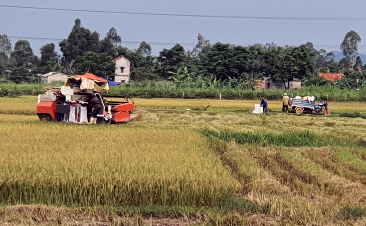  Bố Trạch chú trọng đầu tư tái cơ cấu sản xuất ngành nông nghiệp theo chuỗi giá trị.